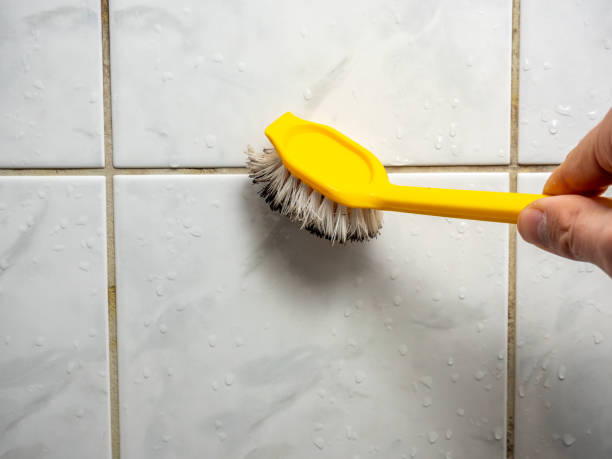 Best Best Mold Removal Companies  in Huntsville, TN