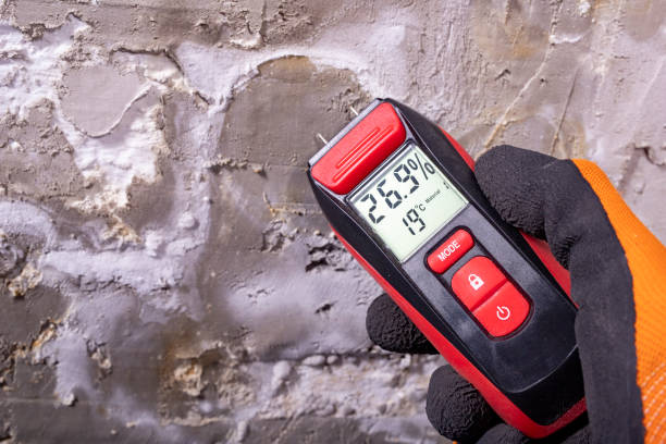 Best Attic Mold Removal  in Huntsville, TN