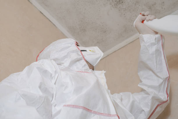 Best Mold Testing  in Huntsville, TN