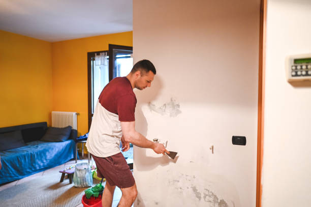 Best Mold Damage Repair  in Huntsville, TN
