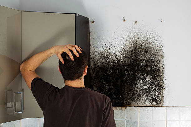 Crawl Space Mold Removal in Huntsville, TN